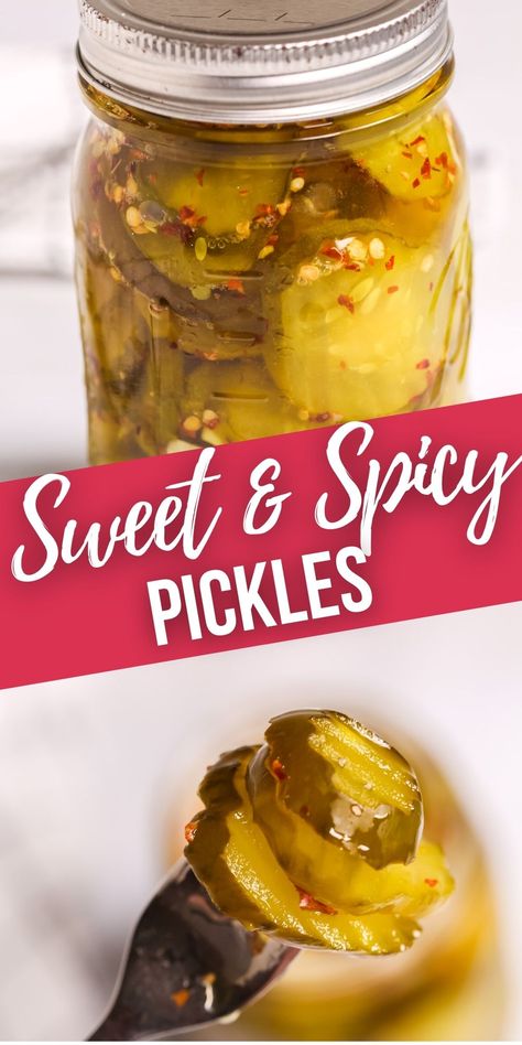 These Sweet and Spicy Pickles are the best pickles to top your burgers with this summer. Brings the perfect amount of sweet and heat. Pickling Pickles Recipes, Sweet Pickle Recipes Homemade, Easy Sweet Pickles Canning, Sweet Hot Dill Pickles, Killer Spicy Garlic Dill Pickles, How To Make Flavored Pickles, Pickle Recipes Spicy, Pickled Pickles Recipes, Fresh Pickles Recipes