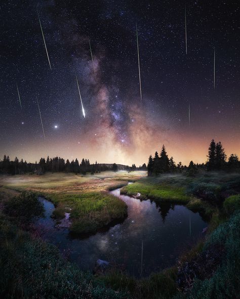 "Perseids over the Bohemian... - Tomas Havel Photography Perseids Meteor, Colorful Places, Wild Forest, Ansel Adams, The Bohemian, Shooting Stars, Milky Way, Featured Artist, Nature Beauty