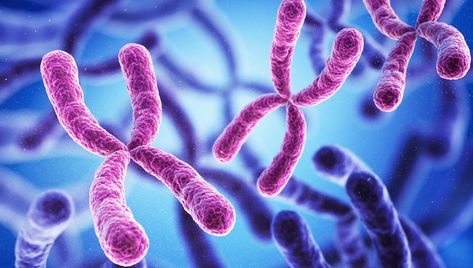 Dna Helix, X Chromosome, Miss X, Human Dna, Dna Sequence, Human Genome, Genetic Disorders, Genetic Testing, Things Under A Microscope