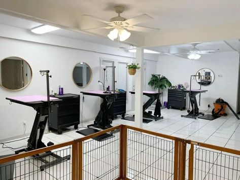 Small Dog Grooming Salon, Small Dog Grooming Salon Ideas, Grooming Shop Ideas, Grooming Salon Ideas, Dog Grooming Salon Ideas, Salon Decorating Ideas, Salon Decorating, Dog Grooming Salons, Grooming Shop