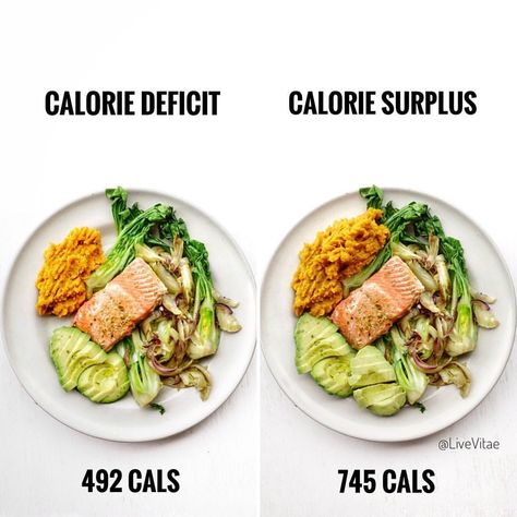 An example of a calorie deficit or surplus which actually does not require any drastic changes. It simply involves creating the best foods… Calorie Deficit Meal Plan, Calorie Surplus, Lifestyle Management, Menu Sarapan Sehat, Adequate Sleep, Calorie Deficit, Idee Pasto Sano, Management Skills, Healthy Lunch