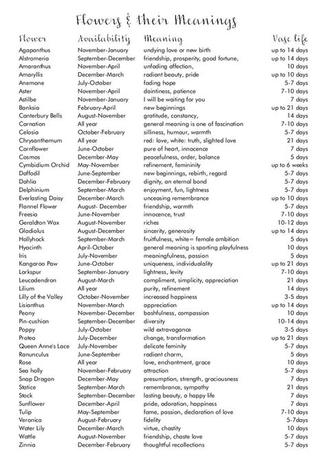Flower meanings Aesthetic Flower Names With Meaning, Different Flower Meanings, Meaning Of Different Flowers, Flower Language Meaning Of, Protea Flower Meaning, Words With Hidden Meanings, Flowers And There Meanings, Plants And Meanings, Symbolism Of Flowers