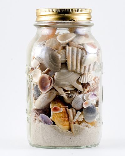 Keep a jar of sand and shells or rocks from each beach we visit. What a cute idea! Shell Decorations, Colored Pencil Artwork, Shell Crafts Diy, Sea Glass Crafts, Shell Beach, Seashell Art, Seashell Crafts, Fish Bowl, Glass Ideas