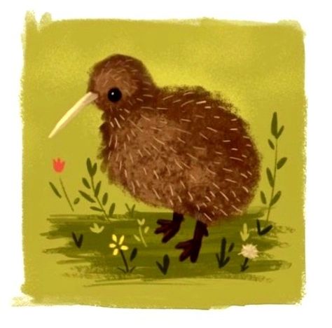 Cartoon Kiwi Bird, Kiwi Animal Drawing, Kiwi Illustration Bird, Kiwi Bird Painting, Cute Kiwi Drawing, Kiwi Fruit Drawing, Kiwi Bird Drawing, Kiwi Animal, Bird Background