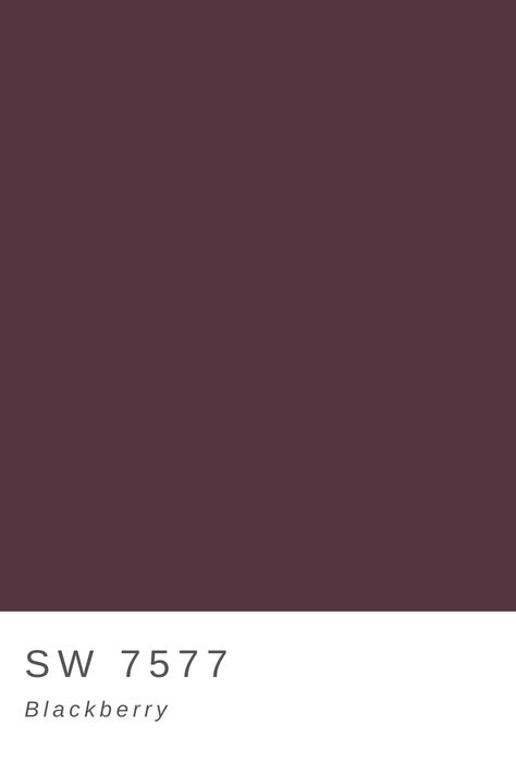 Sherwin Williams SW 7577 Blackberry Dark Berry Paint Color, Dark Purple Entryway, Excessive Plum Sherwin Williams, Plummy Sherwin Williams, Sherwin Williams Plum Brown, Sherwin Williams Blackberry Paint, Sw Blackberry Paint, Sw Poetry Plum, Dark Purple Sherwin Williams