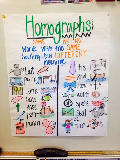 Homographs Anchor Chart 2nd Grade, Homophones Anchor Chart 3rd Grade, Homographs Anchor Chart, Homonyms Examples, Homonyms Worksheet Grade 3, Homophones Anchor Chart, Homonym Homophone Homograph, Ela Anchor Charts, Multiple Meaning Words