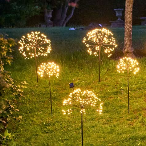 Flower Power Decorations, Dandelion Garden, Electric Garden, Allium Flowers, Fairy Lights Garden, Backyard Garden Landscape, Lighting Techniques, Garden Area, Backyard Lighting