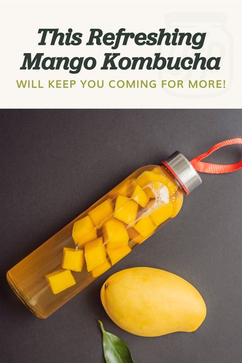 Who would not like a refreshing mango kombucha? It is even better if you can make it yourself! This drink is the perfect one to try your hand at brewing kombucha at home. While it may sound difficult, all you need is attention to detail and a lot of patience. In my case, I love making this to save for the spring and summer months. It is a great refresher for my kids after school and for all guests coming to the house. Mango Kombucha, Ginger Kombucha Recipe, Kombucha Flavors Recipes, Fermenting Recipes, Best Kombucha, Make Your Own Kombucha, Diy Kombucha, Kombucha Benefits, Kombucha Flavors