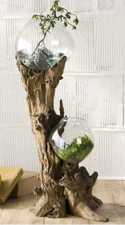 Driftwood and glass bowls - terrarium? Planter? Indoor water garden? Driftwood Vase, Arabian Market, Glass Blowing Ideas, Driftwood Terrarium, Glass Bowl Terrarium, Driftwood Garden, Boho Hippie Home, Modern Terrarium, Driftwood Planters