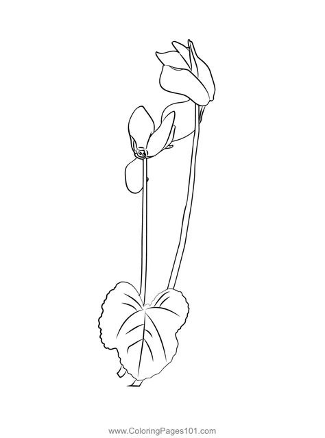 Cyclamen Flower2 Coloring Page Cyclamen Flower Tattoo, Cyclamen Flower Drawing, Cyclamen Tattoo, Cyclamen Flower, Flower Tattoo Designs, Piercing Tattoo, Tattoo Inspo, Free Kids, Printable Coloring Pages