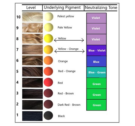 4.6 Formulating the Toner – Hair Colour for Hairstylists: Level 2 Hair Color Theory, Schwarzkopf Hair Color Chart, Ion Hair Color Chart, Levels Of Hair Color, Hair Coloring At Home, Level 6 Hair Color, Level 7 Hair Color, Redken Toner, Ion Hair Colors