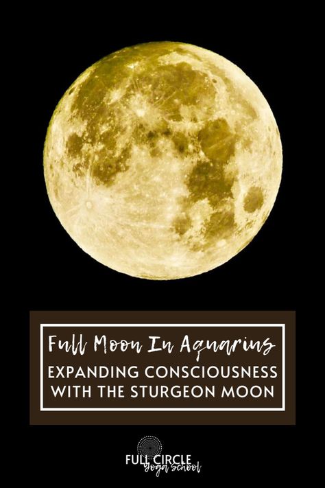 Full Moon In Aquarius 2024, Aquarius Vibes, Moon Aquarius, Full Moon In Aquarius, Moon 2023, Corn Moon, Full Moon Tonight, August Moon, Sturgeon Moon