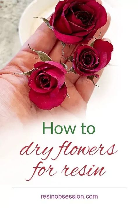 Learn easy way how to dry flowers for your next resin project. Simple steps plus the pro tips to having beautiful flowers for epoxy. How To Dry Out Flowers, Dry Flowers For Resin, Diy Resin Flowers, How To Dry Flowers, Dried Flowers Crafts, Flowers Step By Step, Drying Flowers, Dried Flowers Diy, Resin Art Supplies