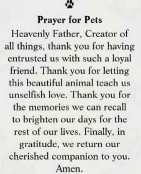 Prayer For Sick Dog, Prayers For Pets, Dog Praying, Cat Gang, Psalm 36, Wrapped In A Blanket, Religion Catholic, Spiritual Motivation, Feral Cat