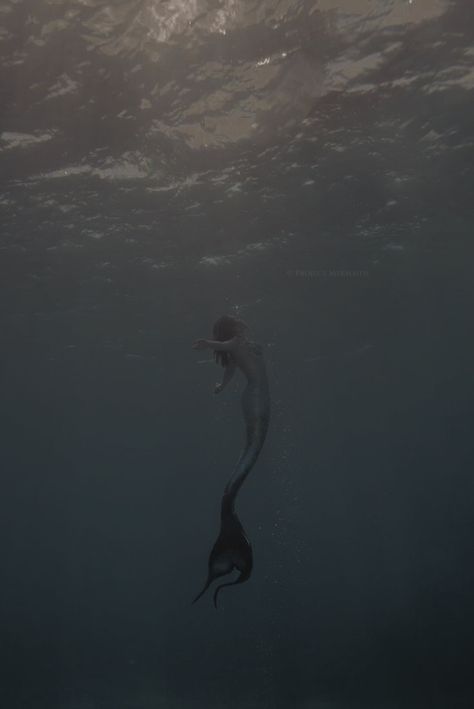 Siren Core Aesthetic Wallpaper, Evil Mermaid Aesthetic, Dark Mermaid Aesthetic Wallpaper, Siren Core Wallpaper, Siren Astethic, Mermaid Aesthetic Art, Mermaid Aesthetic Dark, Siren Aesthetic Wallpaper, Black Siren Aesthetic