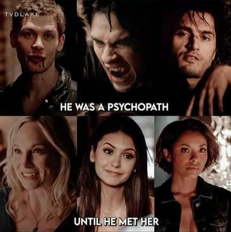 Vampire Diaries Iconic Lines, Tvd Iconic Lines, The Vampire Diaries Whispers, Tvd Memes Funny, Tvd Memes Funny Hilarious, Tvd Aesthetic, The Vampire Diaries Characters, Vampire Diaries Memes, Vampire Diaries Movie