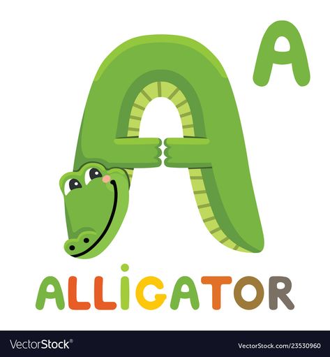 A Is For Alligator, Animal Alphabet Letters, A Alligator, School Age Activities, Science Icons, Animal Flashcards, Preschool Colors, Education Icon, Abc For Kids