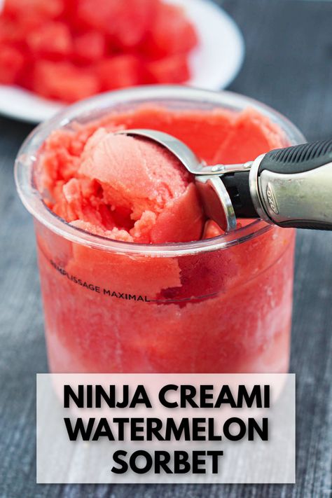 pint container with watermelon sorbet and text Watermelon Creami Sorbet, Ninja Creamy Easy Recipes, Watermelon Ninja Creami Recipe, Ninja Creami Sorbet Recipes Healthy, Ninja Creami Watermelon Ice Cream, Ninja Creami Watermelon Sherbert, Whole 30 Ninja Creami, Watermelon Sorbet Recipe Ice Cream Maker, Creami Recipes Ninja