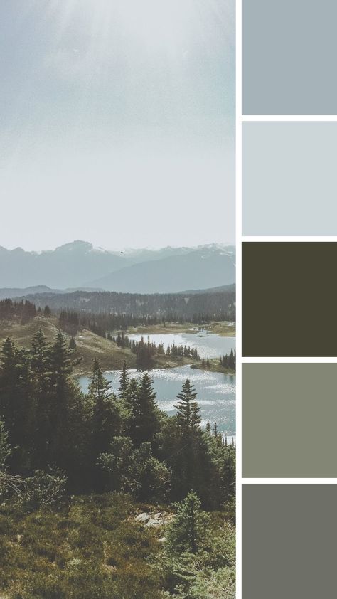 Sage Grey Color Palette, Green Gray Color Palette, Grey And Green, Blue Green Black Color Palette, Blues And Greens Palette, Grey And Green Color Palette, Mint Color Palettes, Navy Color Palette, Black Color Palette