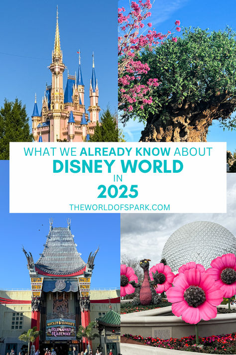 Are you thinking about visiting Walt Disney World in 2025? There are already some important details you need to know about! This article is your ultiamte reference guide for everything you need to know when it comes to planning a 2025 vacation to Disney World. Disney World Itinerary 2024, Disney In April, Disney In March, Disney In January, Walt Disney World Aesthetic, Disney World February, Disney World In February, Disney World In January, Disney World Itinerary