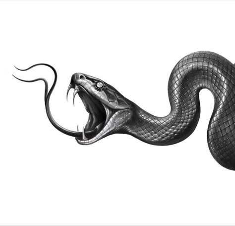 Snake Head Tattoo Design, Traditional Tattoo Black And White, Side Neck Tattoo, Tattoo Snake, Snake Drawing, Snake Tattoos, Shiva Tattoo Design, Snake Tattoo Design, Boho Art Drawings