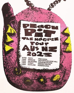 Peach Pit Poster Vintage, Peach Pit Lyrics, Peach Poster Aesthetic, Peach Pit Tshirt, Peaches Graphic, Peach Pit, Hipster Art, Tour Posters, Lino Print