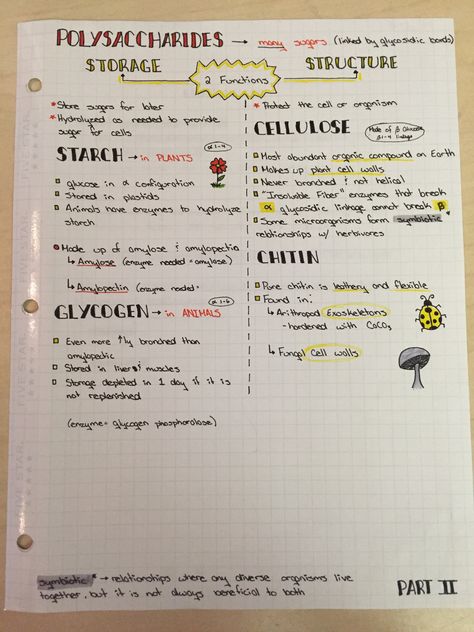 Carbohydrates (polysaccharides) Polysaccharides Notes, Carbohydrates Notes, Carbohydrates Notes Biology, Biomolecules Notes, Carbohydrates Biology, Biochemistry Notes Carbohydrates, Lipids Biochemistry, Protein Notes Biochemistry, Dehydration Synthesis And Hydrolysis