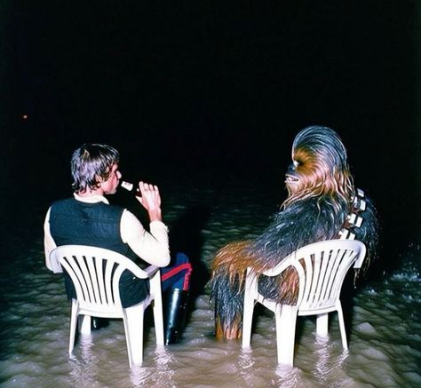 Rain Night, Han Solo And Chewbacca, Mark Anthony, Star Wars Background, Star Wars Anakin, Star Wars Love, Star Wars Jokes, The Falcon, The Force Is Strong