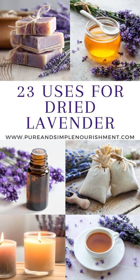 This post reviews what you can do with dried lavender including making food, tea, candles, dryer bags, to help with sleep, to make sugar scrubs, to make mosquito repellent, to make cleaning products and more! Homemade Gifts With Lavender, What To Do With Lavender Buds, Dry Lavender Uses, What To Do With Dry Lavender, What To Do With Dried Lavender Buds, Things To Make With Dried Lavender, Lavender Recipes Beauty, Herbal Diy, How To Use Lavender