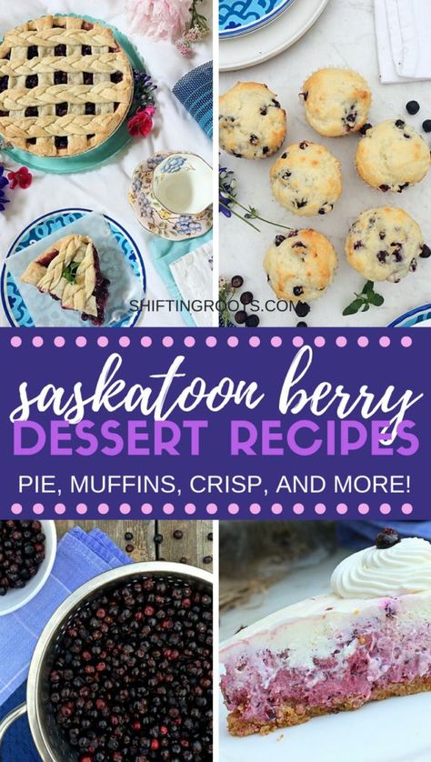 Looking for saskatoon berry recipes? I've rounded up all my favourite pie, cake, muffin, cheesecake, and crisp recipes. They're all delicious summer dessert recipes and can be substituted with blueberries in a pinch. #saskatoonberry #saskatoonberryrecipes #summerdessertrecipes #summerdessert #easydessert Saskatoon Berry Recipes, Saskatoon Recipes, Saskatoon Berry Recipe, Sugar Cookie Recipe With Royal Icing, Easy Sugar Cookie Recipe, Crisp Recipes, Easy Summer Dessert Recipes, Saskatoon Berry, Berry Dessert Recipes