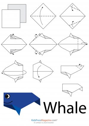 Animal origami easy instructions for kids. Easy to follow step by step origami for kids. Sea animals, butterfly origami and many others creative origami activities. Great origami collectibles. Origami Sea Creatures, Easy Origami Animals, Simple Origami, Origami Yoda, Origami Bookmarks, Origami Star Box, Creative Origami, Kids Origami, Origami For Beginners