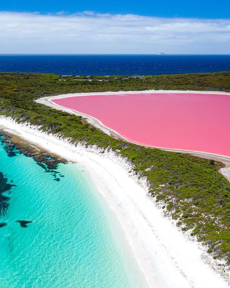 Pink Lake Australia, Blue Slushie, Western Australia Travel, Australia Vacation, Pink Lake, Strawberry Milkshake, Icy Blue, Australia Travel, Bolivia