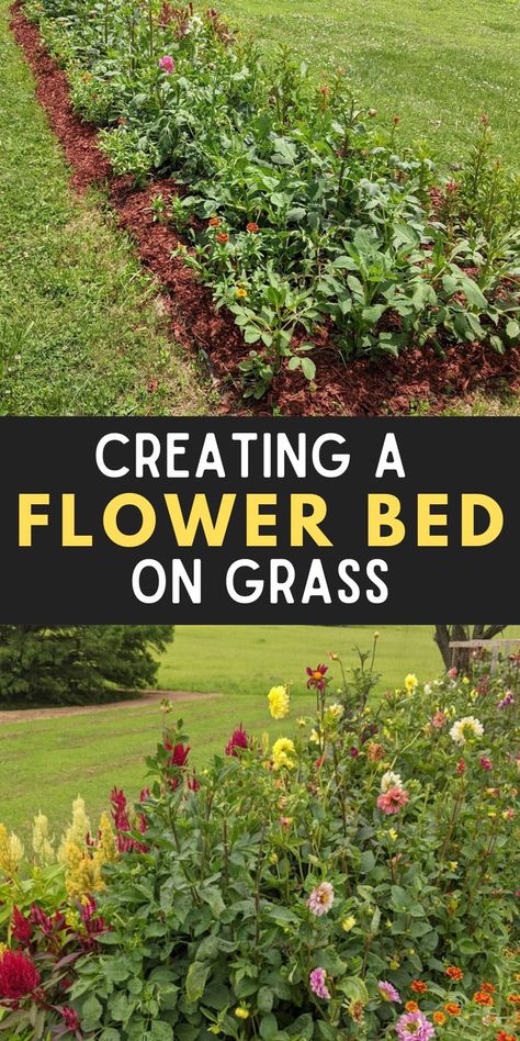 If you’re wondering how to make a flower bed over grass without digging, this is the guide for you! Create a beautiful, inexpensive flower bed in just a day! Make A Flower Bed, Fun Garden Projects, Backyard Flowers Beds, Backyard Flowers Garden, Front Flower Beds, Expensive Flowers, Dig Gardens, Flower Bed Designs, Garden Design Layout