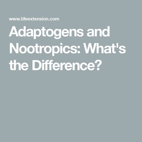 Adaptogens and Nootropics: What's the Difference? Bacopa Monnieri, Rhodiola Rosea, Adaptogenic Herbs, Science Articles, Meta Analysis, Brain Function, Mental Clarity, Brain Health, Fitness Nutrition