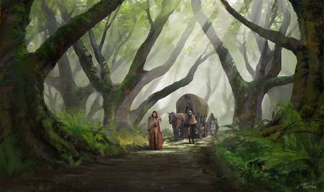 Ormanlık Alan, Dnd Backgrounds, Dnd World, Forest Life, The One Ring, Caravan Renovation, Forest Road, Fantasy Forest, Fantasy Setting