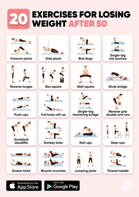 Scissors Exercise, Wall Squat, Wall Pilates, Scissor Kicks, Bicycle Crunches, Donkey Kicks, Side Plank, Reverse Lunges, Glute Bridge