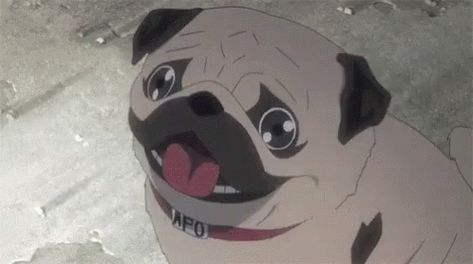 Pug Explosion GIF - Pug Explosion Anime - Discover & Share GIFs A Pug, Pug, Gif