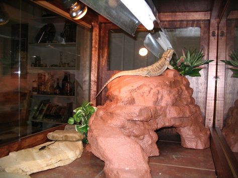 DIY Fake rocks & caves for reptiles! Cool! I am gonna make fake mountains and rocks to go with my daughters dinosaur collection! She will love it! Bearded Dragon Vivarium, Diy Reptile, Bearded Dragon Diy, Bearded Dragon Terrarium, Bearded Dragon Enclosure, Bearded Dragon Cage, Bearded Dragon Habitat, Bearded Dragon Tank, Reptile Decor