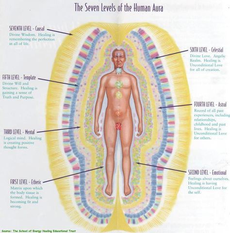 The Human Energy Field The “aura” or “human energy field” is a field of energy which surrounds and penetrates the body. The aura underlies and supports the functioning of the body. Contained within the aura are the energetic aspects of every structure and function of the body, as well as everything that we experience (physical sensations, thoughts, feelings, states of consciousness, etc.) Human Aura, Etheric Body, Spirit Science, Energy Medicine, Alternative Healing, Body Tissues, Emotional Body, Aura Colors, Energy Work