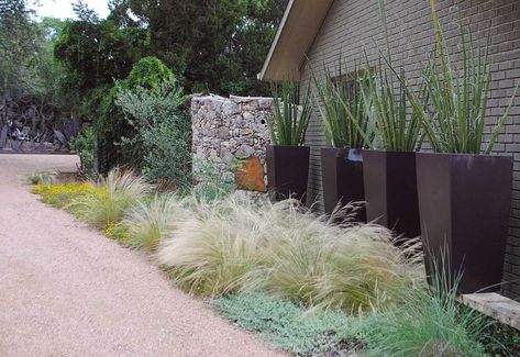 Gossamer Gardens: 11 Ideas for Landscaping with Mexican Feather Grass… Texas Landscaping, Mexican Feather Grass, Grasses Landscaping, Modern Landscape Design, Backyard Pool Landscaping, Front Landscaping, Grasses Garden, House Landscape, Small Garden Design