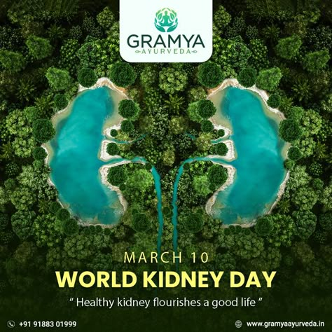 Drink more water and control your sugar levels to keep your kidneys always in good condition. Happy World Kidney Day! Kidney Health for All! #GramyaAyurveda #WorldKidneyDay #WorldKidneyDay2022 #KidneyDay #KidneyHealthforAll World Kidney Day, Visual Advertising, Apps Social Media, Healthy Kidneys, World Days, Motion Design Video, Kidney Health, Drink More Water, Ads Design