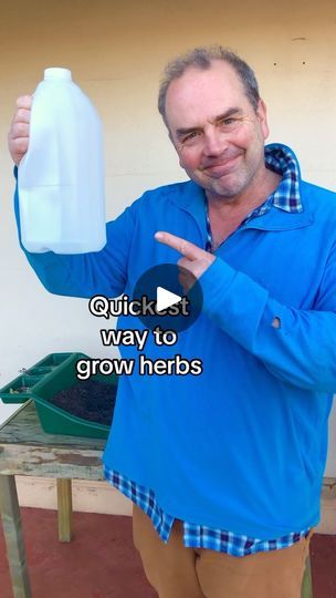 Milk Carton Greenhouse, Planting Ginger Root, Planting Ginger, Herb Garden Outdoor, Growing Salad, The Waterboys, Herbs Growing, Gardening Indoors, Outdoor Herb Garden