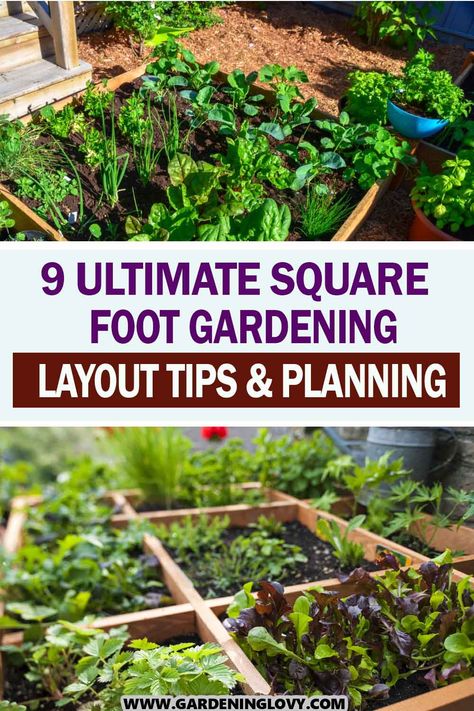 Square Ft Gardening Layout, 4x8 Garden Layout, Easy Garden Layout Ideas, 6x6 Garden Layout, 3x6 Raised Garden Bed Layout, Raised Garden Planting Layout, Square Foot Gardening Layout Raised Beds, Square Foot Gardening Layout 4x8, 20x20 Garden Layout