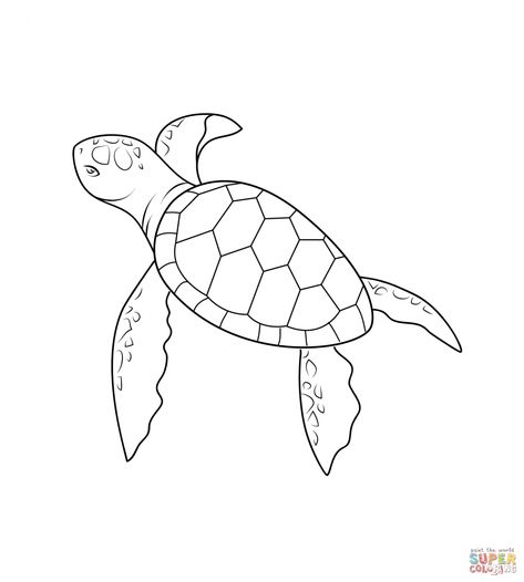 Turtle Outline, Turtle Sketch, Sea Turtle Drawing, Turtle Coloring, Sea Turtle Tattoo, Turtle Coloring Pages, Animals Tattoo, Turtle Crafts, Cartoon Turtle