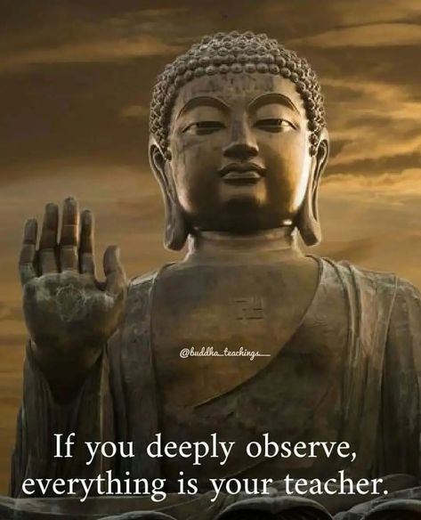 Buddha on Instagram: “Follow us now @buddha_teaching_science and _ type 'YES' if you agree with the quote! 💫 Tag someone below who needs to see this post!…” Buda Quotes, Best Buddha Quotes, Life Quotes Relationships, Buddha Wisdom, Buddha Quotes Life, Buddhist Wisdom, Buddha Quotes Inspirational, Buddhism Quote, Buddhist Quotes