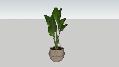 Indoor plant in basket | 3D Warehouse Plants In Baskets Indoor, Plant In Basket, Big Planters, Plants In Baskets, 3d Tree, Beige Stone, Sketchup Model, Big Plants, Interior Plants