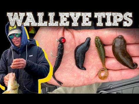 (1908) 5 Walleye Fishing Tips for Success w/ Tourney PRO Tom Huynh - YouTube Walleye Fishing Lures, Walleye Fishing Tips, Walleye Fishing, Tips For Success, Freshwater Fishing, Useful Tips, Open Water, Fishing Tips, The Boat