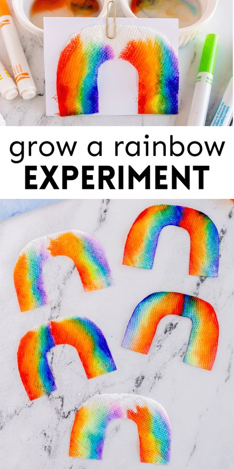 Growing Rainbow Experiment, Rainbow Water Science Experiment, Colorful Science Experiments For Kids, Stem Ideas For 1st Grade, Spring Science Experiments For Toddlers, Rainbow Math Preschool, Rainbow Stem Activities Preschool, Art Experiences For Preschoolers, Kindergarten Rainbow Art