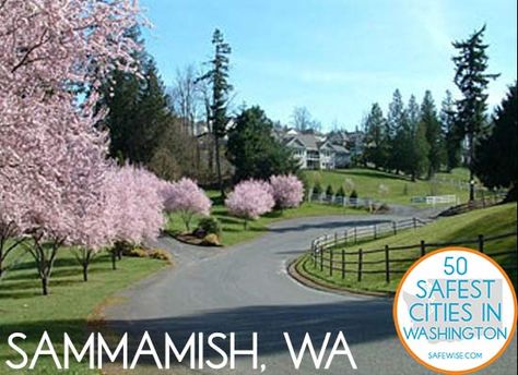 Sammamish Washington, Evergreen State, Pacific Nw, Emerald City, Puget Sound, Best Places To Live, Seattle Washington, Best Cities, Washington State