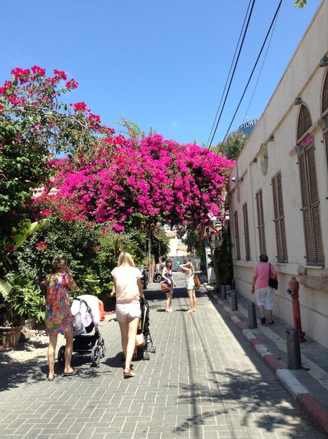 Neve Tzedek, Tel Aviv Neve Tzedek, Our Life, Street View